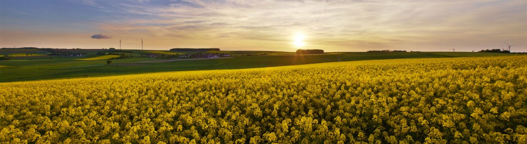 Saarland pano _web